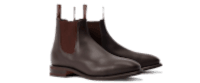 shoe